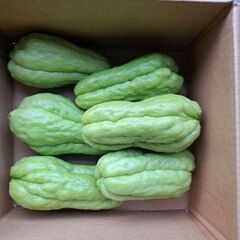 キューイフルーツ　無人販売の画像