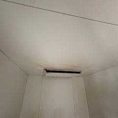 野菜　冷蔵庫　要冷庫の画像