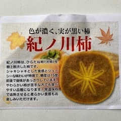 紀ノ川柿　1個　和歌山県産の画像