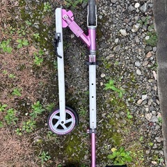 キックスケーターの画像