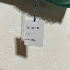 ブラジャーＢ７５（C７５もあります）の画像