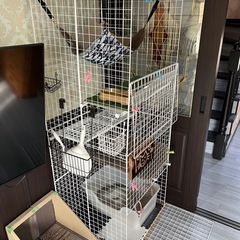 キャットケージの画像