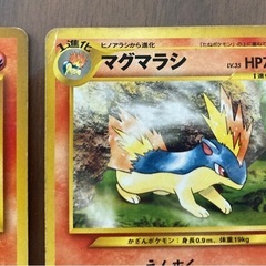 ポケモンカード　ヒノアラシ等2枚の画像