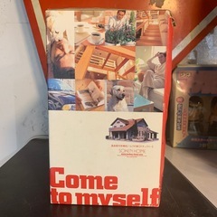 カープ 野村謙二郎 ボブルヘッド 創建ホーム Carp （ID1534）の画像