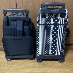 ディズニーキャリーバッグの画像