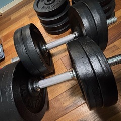 リーディングエッジ アイアンダンベル可変式の画像