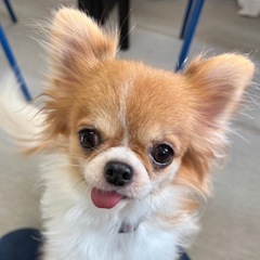 ずっと一緒にいたい甘えん坊な女の子！