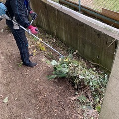 草刈り致します　15000円から