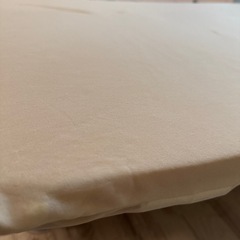 トゥルースリーパーの画像