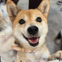 撫でられるのも遊ぶのも大好きな女の子！