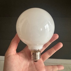 ヤザワコーポレーション ボール電球 40W形 径95mm ホワイト GW100V38W95の画像