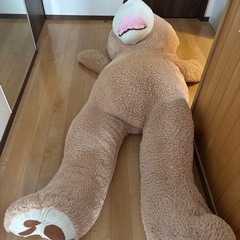 熊のぬいぐるみの画像