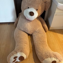 熊のぬいぐるみの画像