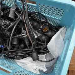 ストリングライト、イルミネーションの画像