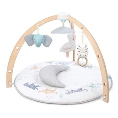 aden＋anai プレイジム⭐︎ベビージムの画像