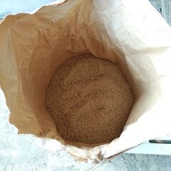 令和7年産 コシヒカリ 玄米 30kgの画像