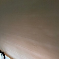 遮光ロールスクリーン(ドルフィンWH 165X220)の画像