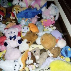 いろいろぬいぐるみ　いっぱい　中古の画像
