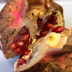 柘榴🔴超希少 国産ザクロ②の画像