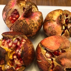 柘榴🔴超希少 国産ザクロ②の画像