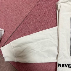 ノースフェイスロンT Mサイズの画像