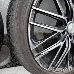 レオニス　20インチ  アルヴェルサイズの画像