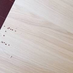 木製キャットハウス の画像