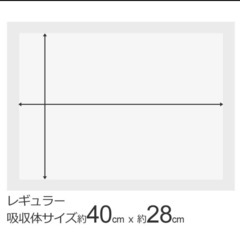 厚型　炭入り　ペットシーツ　レギュラー　200枚　ペットシーツ専門店オリジナルの画像