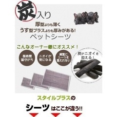 厚型　炭入り　ペットシーツ　レギュラー　200枚　ペットシーツ専門店オリジナルの画像