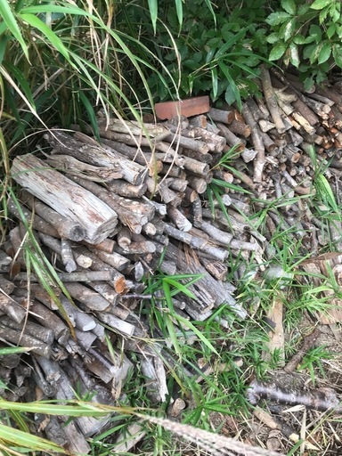 薪