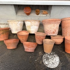 テラコッタ15点の画像