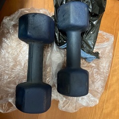 ダンベル5kg✖️2の画像