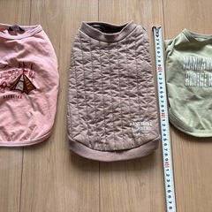 ドッグウェア
の画像