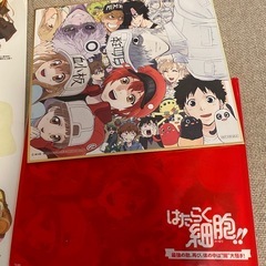 カップ＆コースター　などの画像