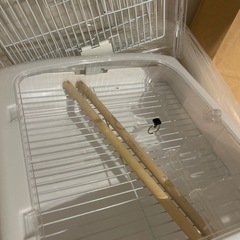 【決まりました】小鳥の家の画像