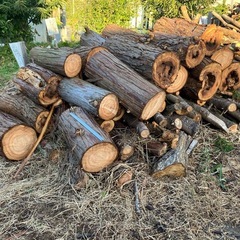 無償でお譲りします　薪材/原木/木材の画像