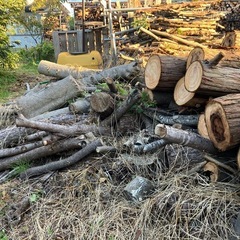 無償でお譲りします　薪材/原木/木材の画像