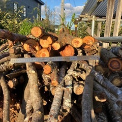 無償でお譲りします　薪材/原木/木材の画像