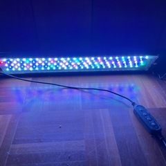 中古90cmスリム水槽セットの画像