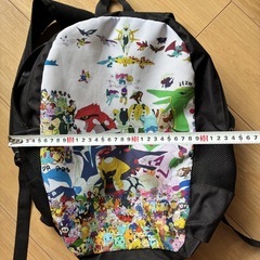 ポケモンリュックの画像