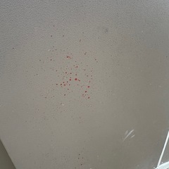 （受け渡し予定者決定）
物置の画像