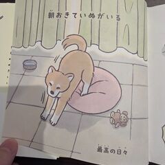 毎日がいぬの日 絵本の画像