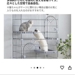 キャットゲージの画像