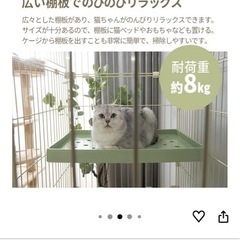 キャットゲージの画像