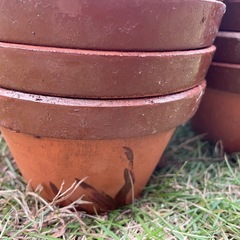 素焼き鉢★５号×25鉢の画像