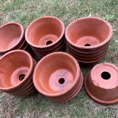 素焼き鉢★５号×25鉢の画像