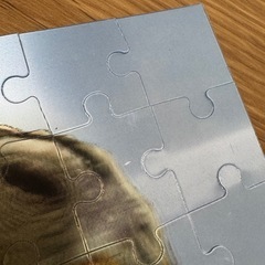 恐竜　パズル　3Dの画像