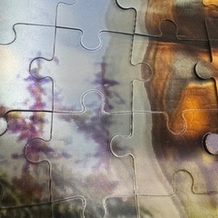 恐竜　パズル　3Dの画像