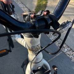 ベルトドライブ　キッズ自転車の画像