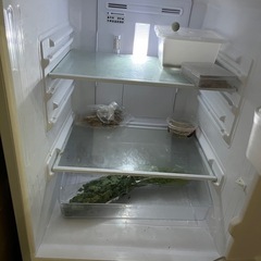 11月7日までの引き渡し希望　　シャープ冷蔵庫137l  2016年　動作確認済みの画像